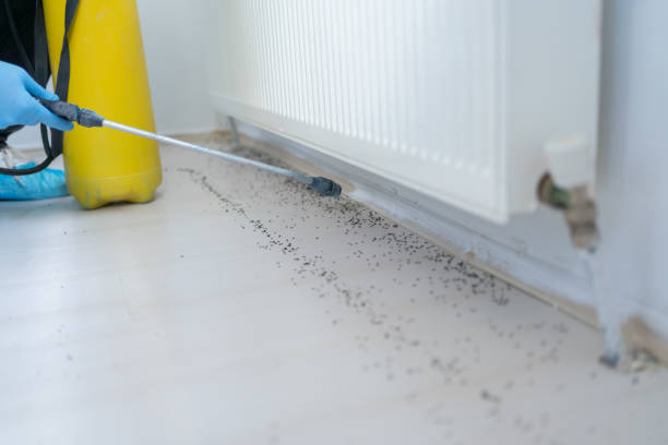 Pest Control Cost in Olean, NY